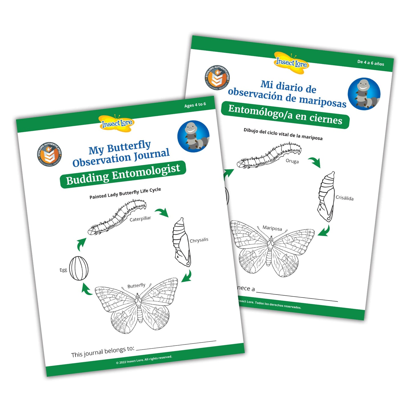 Insect Lore Butterfly Garden with Two Cups of Live Caterpillars, Life Cycle Figurines, English and Spanish Butterfly STEM Activity Journals | 10 Painted Lady Butterfly Baby Caterpillars