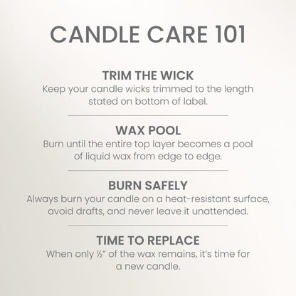Yankee Candle Large Tumbler Scented Candle with up to 80 Hour Burn Time, Premium Plant Wax Blend for Consistent Burn, 20 oz Tumbler Candle with Room Filling Fragrance, White Spruce & Grapefruit