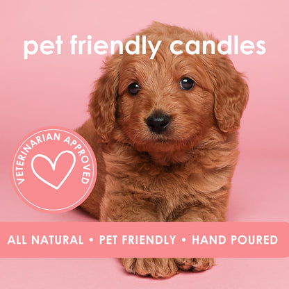 Pet Safe Candle for Dogs | Non Toxic Coconut Apricot Wax Candle | Clean Burning, Paraffin-Free | Pet Odor Eliminating Home Fragrance | Horchata | 4 oz