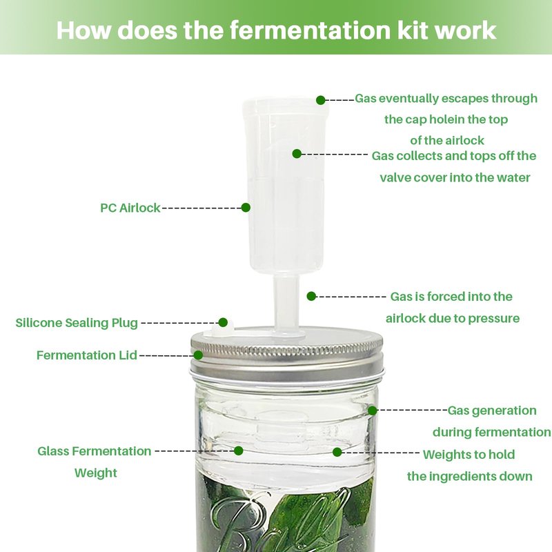 Fermentation Kit for Wide Mouth Mason Jars,Fermentation Kit with 4 Glass Fermentation Weights,4 Fermenting Lids,4 airlocks,5 Silicone Rings,5 Silicone Grommet for Pickling, Canning and Sauce(No Jars)