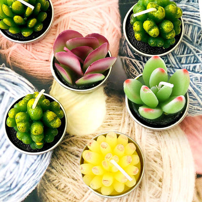 Swpeet 12Pcs Decorative Succulent Cactus Tealight Candles Kit, Cute Smokeless Succulent Plants Perfect for Candles Festival Wedding Props and House-Warming Party (N0.6-Candle)