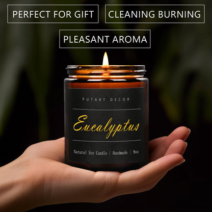 Putart Eucalyptus Mint Candles for Home Scented, Natural Soy Aromatherapy Non Toxic Candles with Long Lasting Fragrance & Clean Burn, Luxury Jar Candle Gift for Women, Men, Home Decoration 9oz