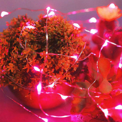 Ariceleo LED Fairy Lights - Battery Operated Copper Wire String Lights | 5m/16ft Red for Bedroom, Parties, Weddings