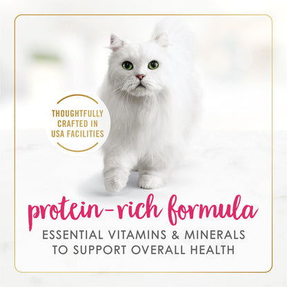 Purina Fancy Feast Sliced Chicken Feast Wet Cat Food in Gravy - (Pack of 24) 3 oz. Cans