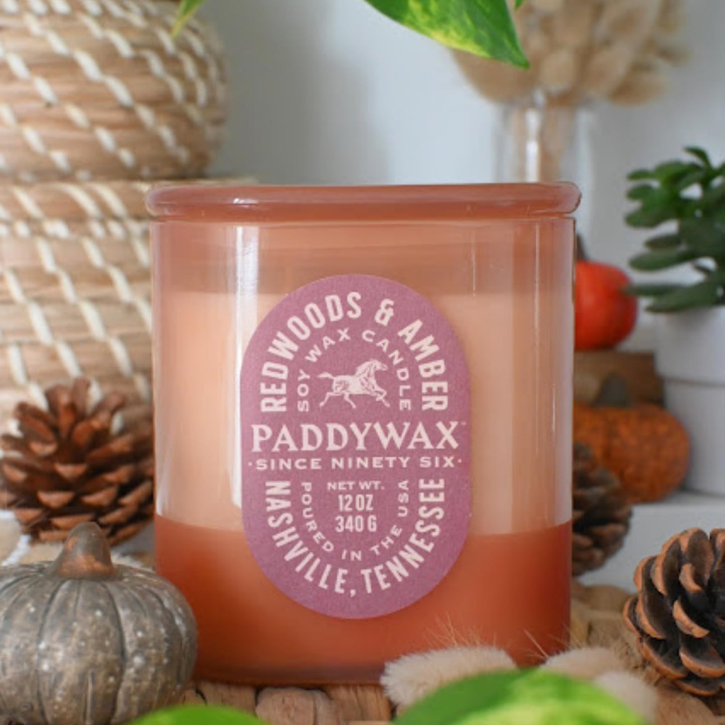 Paddywax Vista Scented Candle with Lid in Reusable Tonal Glass Jar, Clean-Burn 2-Wick Soy Candle with Approx. 84 Hour Burn Time, Decorative Gift Candles for Home, Redwoods & Amber, 12 oz