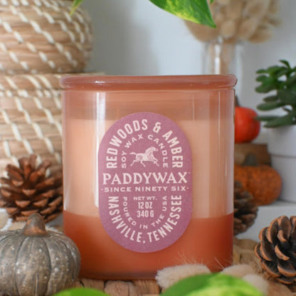 Paddywax Vista Scented Candle with Lid in Reusable Tonal Glass Jar, Clean-Burn 2-Wick Soy Candle with Approx. 84 Hour Burn Time, Decorative Gift Candles for Home, Redwoods & Amber, 12 oz
