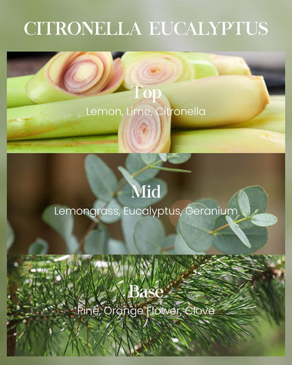 M&SENSE Citronella Eucalyptus Scented Candle 41.5oz,Citronella Eucalyptus Candles Outdoor Indoor,Summer Candles for Outside,220 Hours Burn Time,Nature Soy Wax