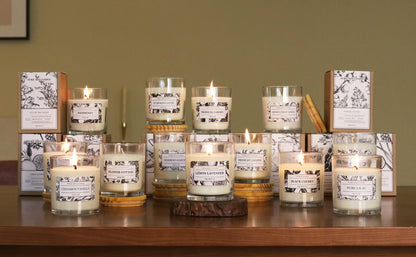 Aronica Raspberry Candle, Baby Shower Game Winner Gifts, Fruit Scented Soy Candles for Home, Fall Candles Bestfriend Gift, House Wax, Energizing Candle for Woman