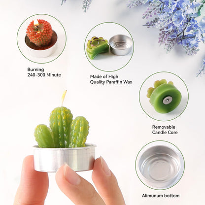 AIXIANG 12Pcs Cactus Candles Succulent Ornaments Candles, Wedding Favors for Guests, Bridal Shower Favors, Baby Shower Favors, Christmas Gifts