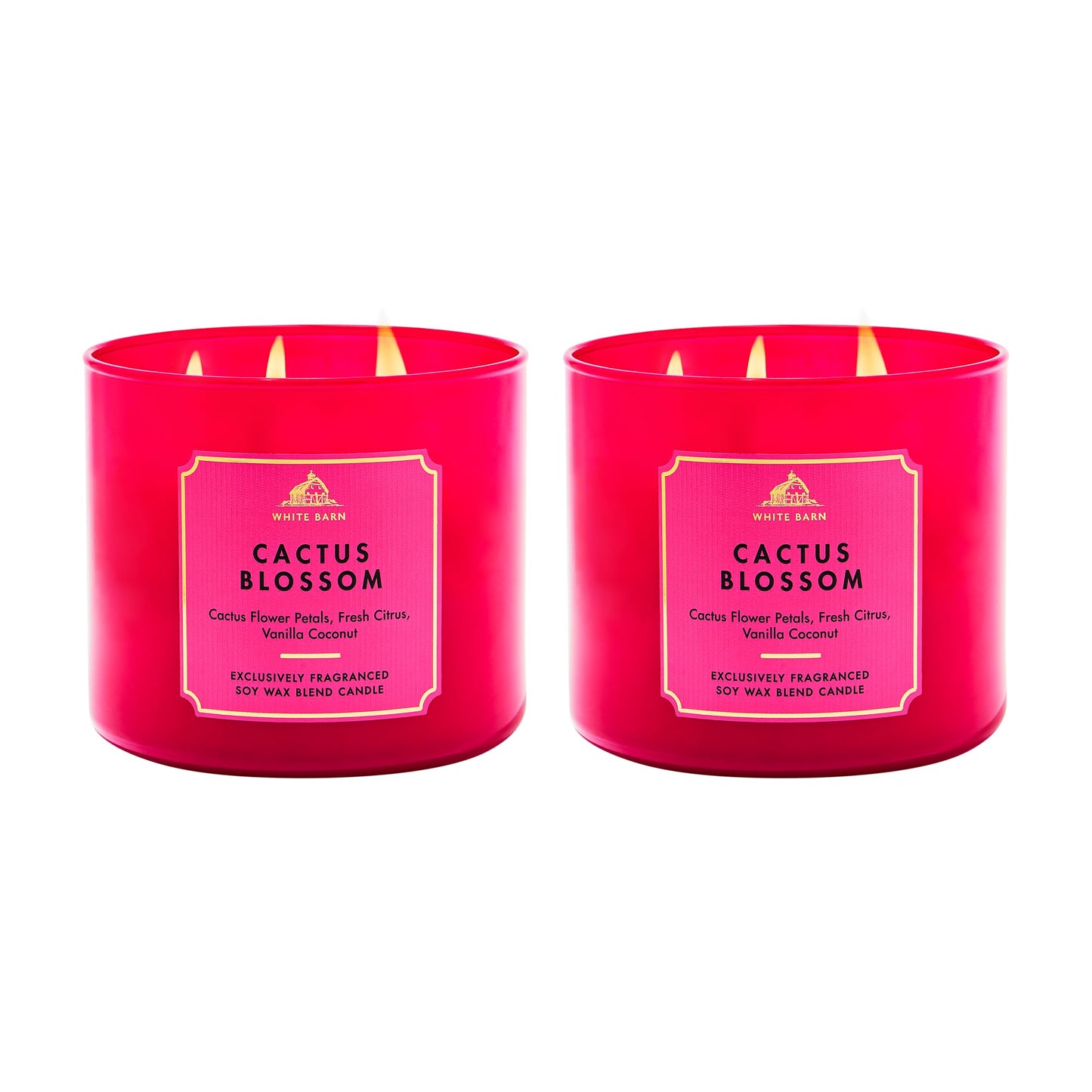 Bath & Body Works Cactus Blossom 3-Wick Candle - Scented Candle for At-Home Use - Long-Lasting, Room-Filling Fragrance - High Fragrance Oil Concentration - Soy Wax Blend - 2-Pack