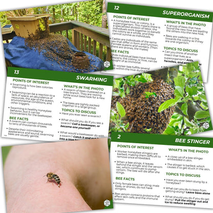 Educational Beekeeping Cards – 12x18 Oversized Beekeeping Flashcards for Teaching Bees and Beekeeping - Classroom and Workshop Learning Tool (Expansion Set - Heavy Card Stock)