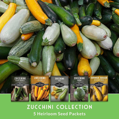 Survival Garden Seeds - Zucchini & Squash Collection | Non-GMO Heirloom Seeds Assortment