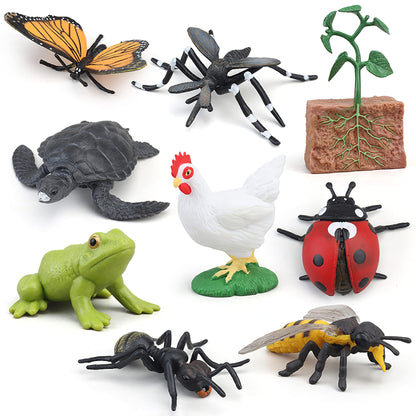 MIKNEKE Montessori Bee Life Cycle with Flash Cards, Realistic Animal Figurines Toy, Animal Educational Matching Game for 3+ Year Old Toddlers Kids (Bee)