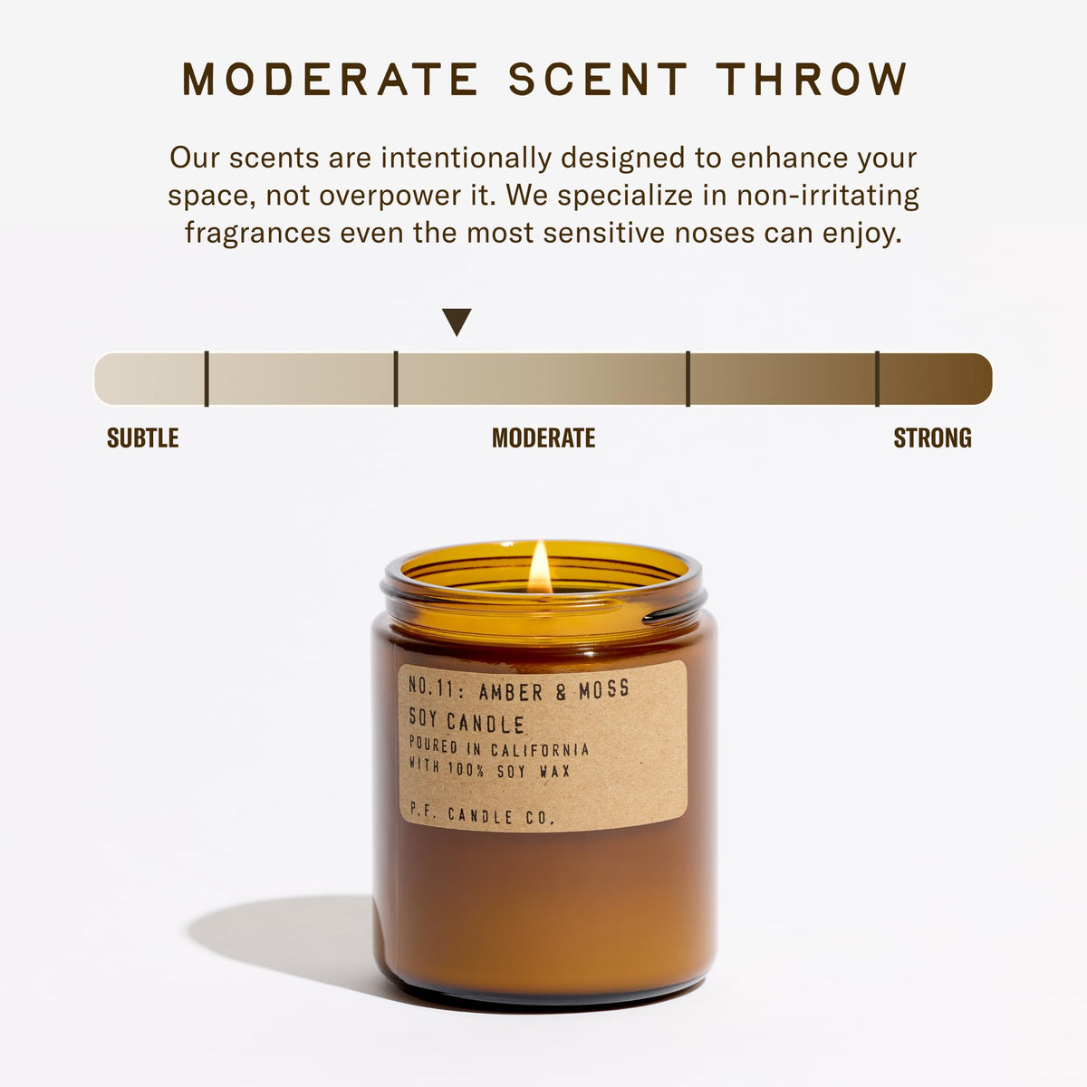 P.F. Candle Co. Amber & Moss Classic Standard Scented Soy Wax Candle (7.2 oz) 40-50 Hour Burn Time, Amber Glass Jar, Made in The U.S.A.