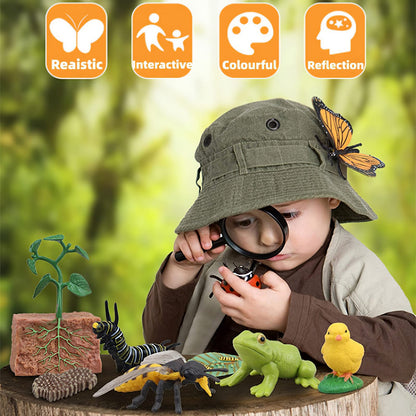 MIKNEKE Montessori Life Cycle Animal Figures with Flash Cards, Realistic Animal Figurines Toy, Educational Matching Game for 3+ Year Old Toddlers Kids (Turtle)