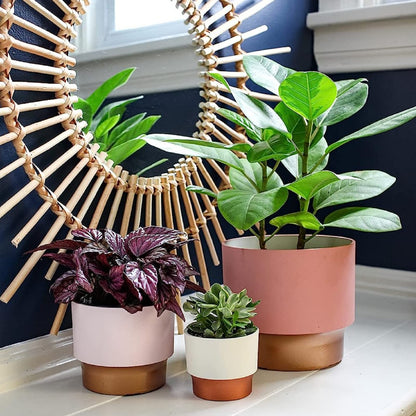 The HC Companies 3" Round Premium Plastic Sprite Pot Succulent Planter with Drainage - Vanilla Bisque with Copper Bottom Color