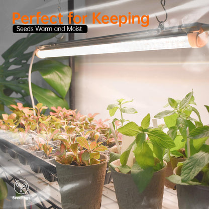 Bstrip Indoor Greenhouse with Grow Light, 5 Tier 23.5"x13.8"x59" Mini Greenhouse with 4 Pack 24W Full Spectrum Plant Lights & Timer, Plant Shelf with Cover for Indoor Plant, Seed Starting, Seed Tray