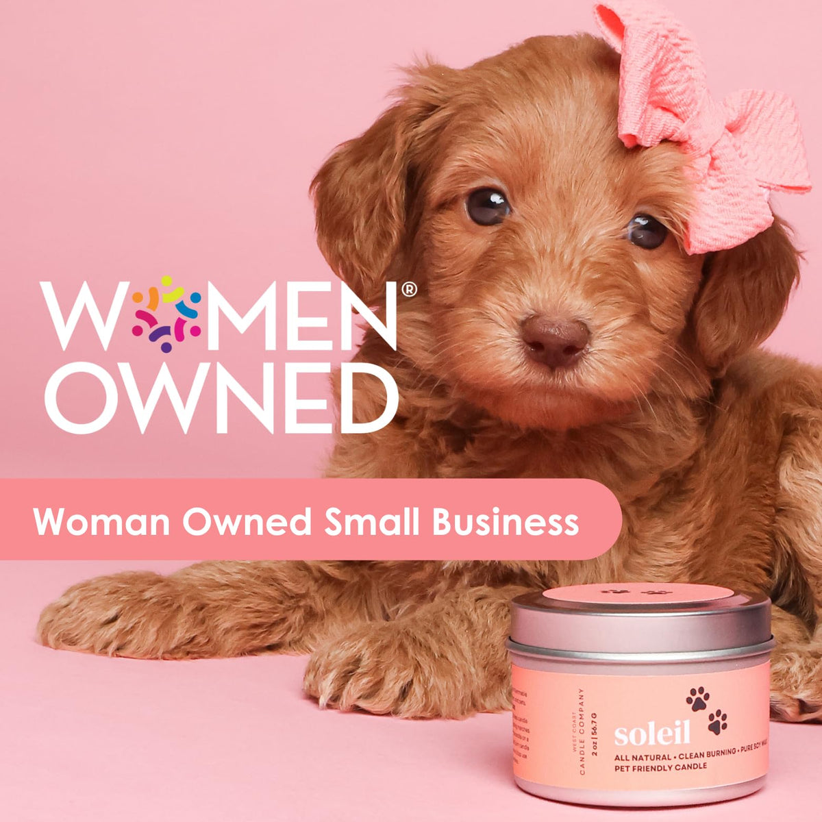 Pet Safe Candle for Dogs | Non Toxic Coconut Apricot Wax Candle | Clean Burning, Paraffin-Free | Pet Odor Eliminating Home Fragrance | Walk in the Woods | 4 oz
