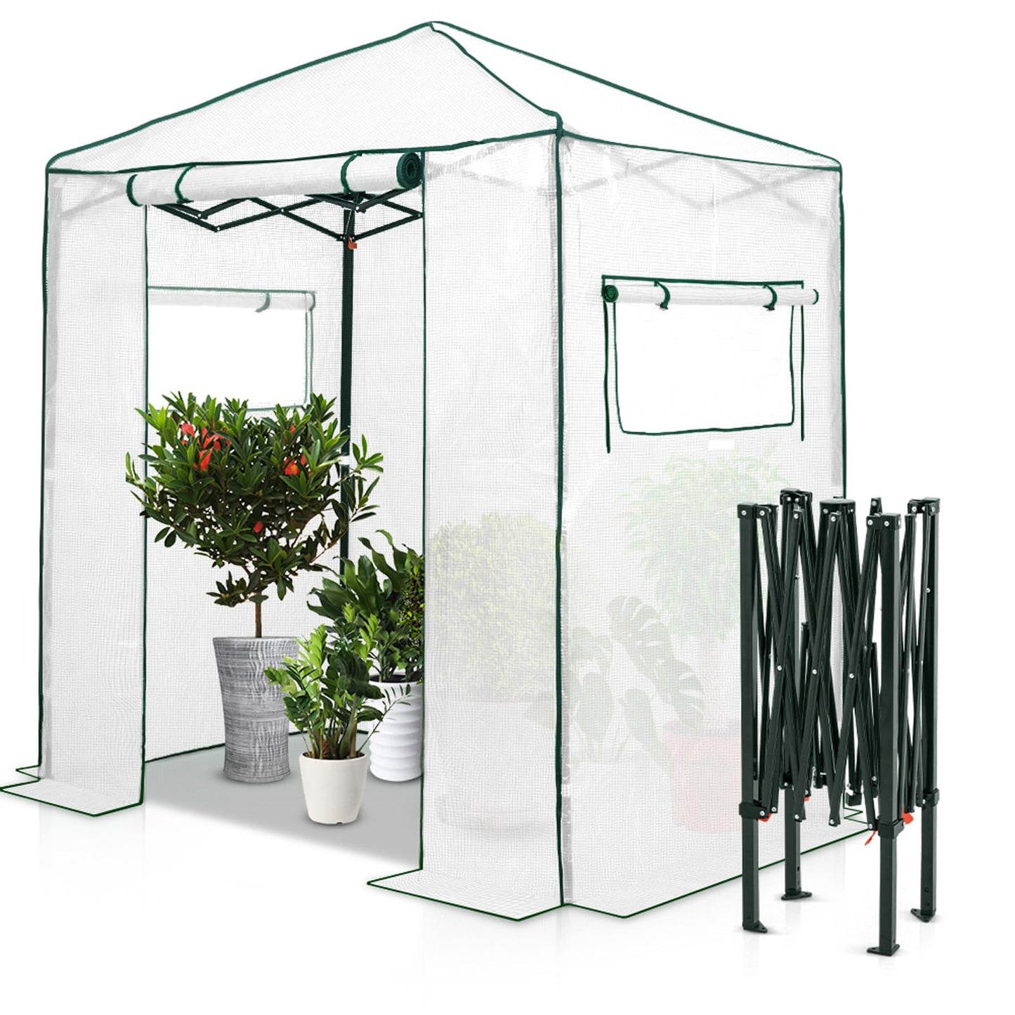 EAGLE PEAK 6x4 Portable Walk in Greenhouse, Pop Up Indoor Outdoor Greenhouse, Green House Kit with Zippered Roll-Up Doors and Windows, PE Cover, Clear/White