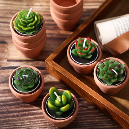 Treela 6 Pcs Succulent Candles, Decorative Cactus Candle with Mini Terracotta Pots, Handmade Tealight for Baby Shower Home Decor Birthday Wedding Fiesta Cinco De Mayo Party Decorations Party Favors