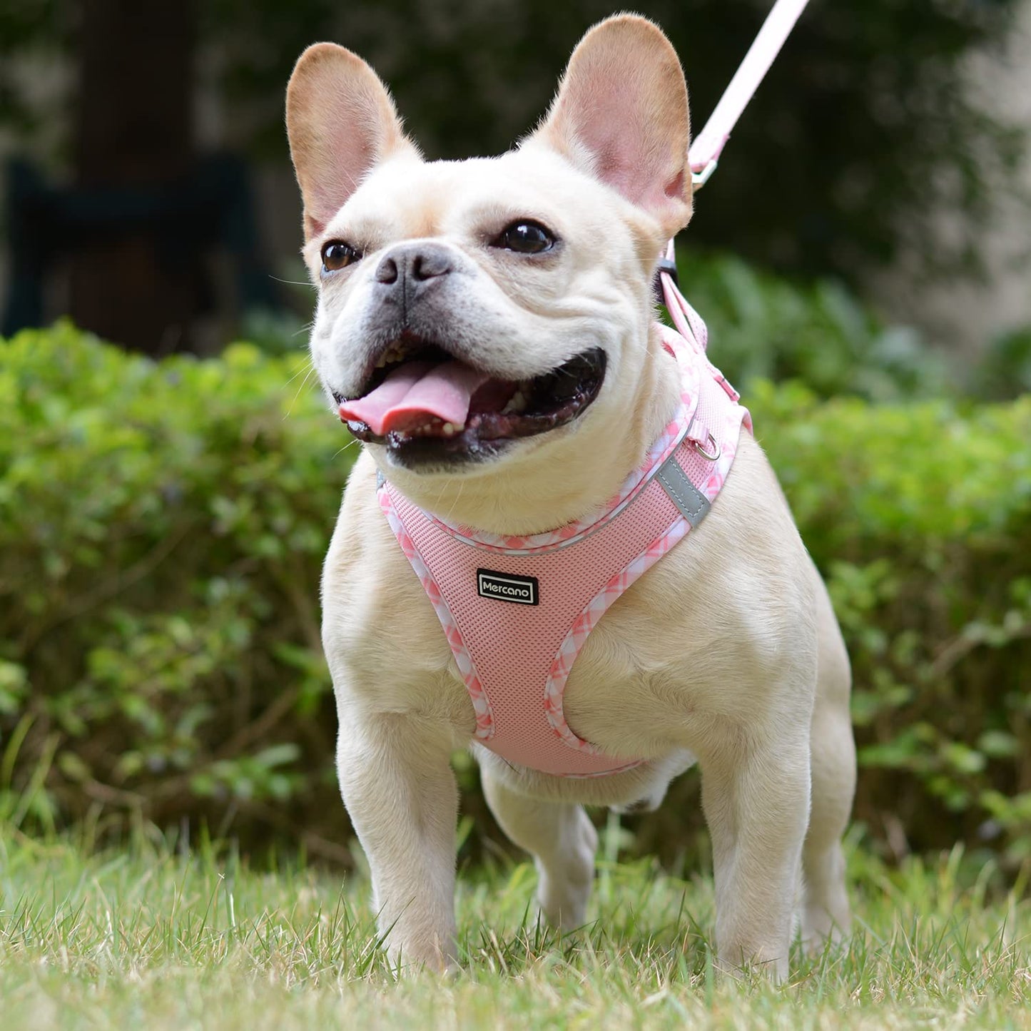 Mercano Soft Mesh Dog Harness and Leash Set, No-Chock Step-in Reflective Breathable Lightweight Easy Walk Vest Harnesses with Safety Buckle for Small Dogs, Cats (Pink, S)