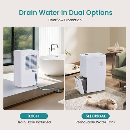 OLIXIS 80Pints Dehumidifier with Drain Hose, Most Efficient Energy Star, 5,500 Sq.Ft Dehumidifier for Basement, 5L Tank, Smart Humidity Ring, Ideal Humidity Remover for Home, Bedroom & Bathroom