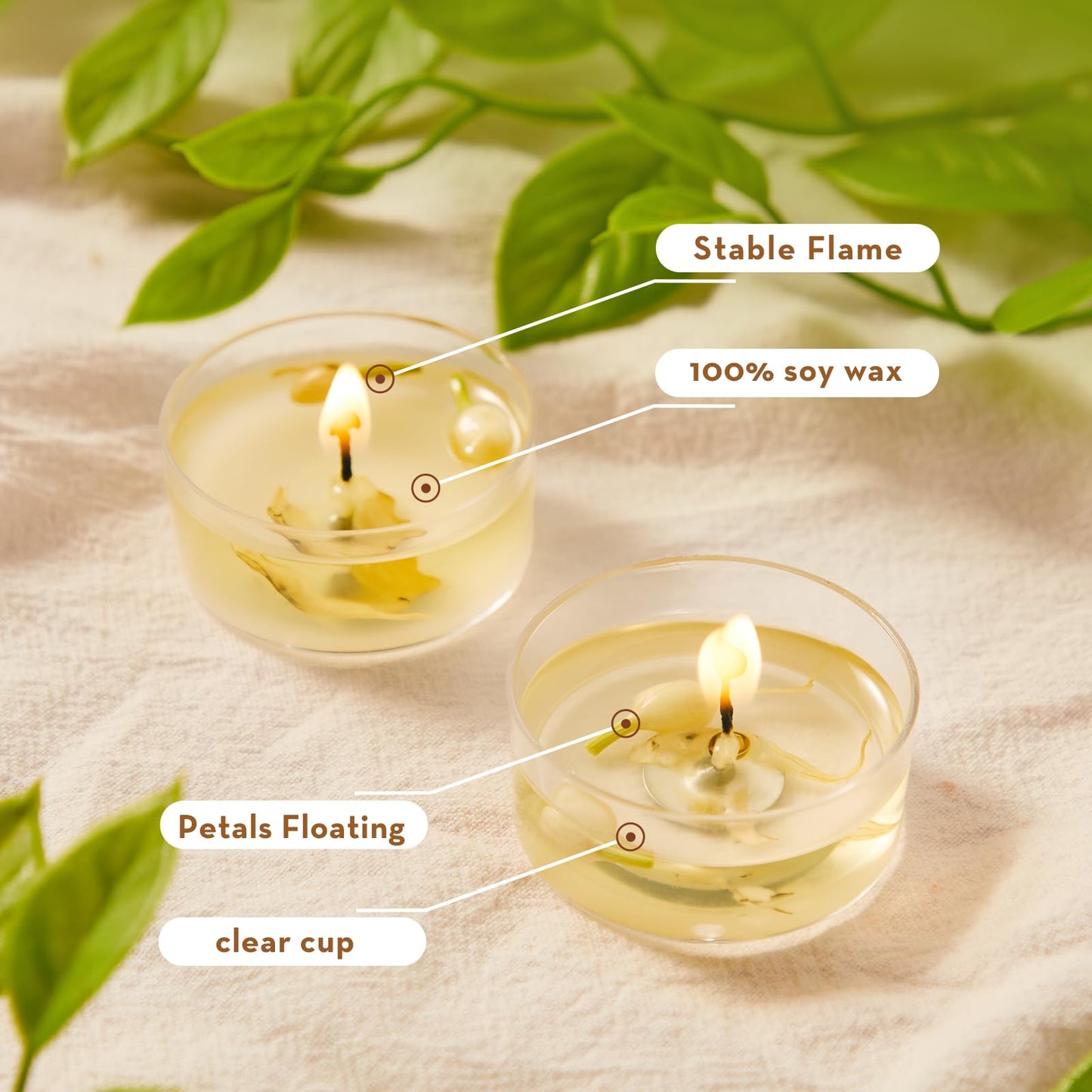 Ashlux Acrylic Jasmine Soy Wax Scented Tea Lights, 8 Pack Bulk – 4 Hour Long Burning, Non-Paraffin, Smokeless,Tealight Candles for Weddings, Table Centerpieces, Home Decor & Christmas