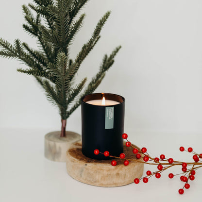 Calyan Wax Co. Evergreen & Eucalyptus Scented Candle - 75 Hour Burn - Luxury Clean Soy Wax Candles - Long Lasting Black Tumbler Jar Candle for Home - 10.2oz