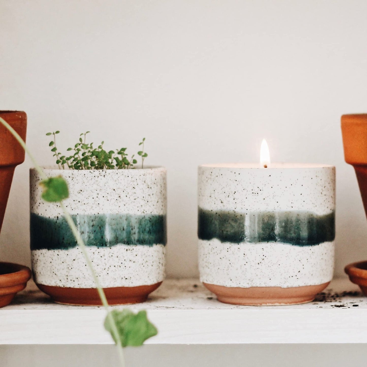 Hyggelight - The Growing Candle, Sandalwood & Vanilla Scented, 8.5oz Ceramic Pot, Aromatherapy Candles for Home, 100% Soy, Edith