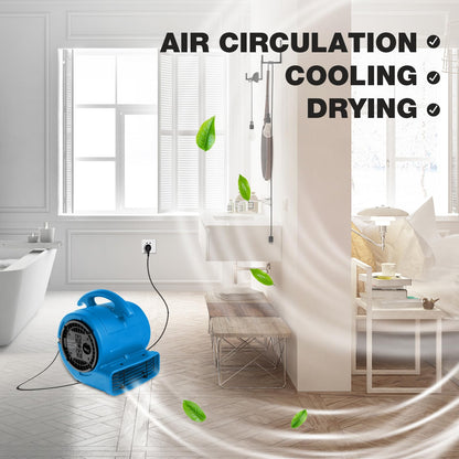 MOUNTO 1/5hp Air Mover 800cfm Blower Fan Carpet Floor Drying Fan - 3-Speed Compact Air Mover w/Dual Outlet, 10ft Power Cord for Drying, Cooling, Air Circulation (Blue)