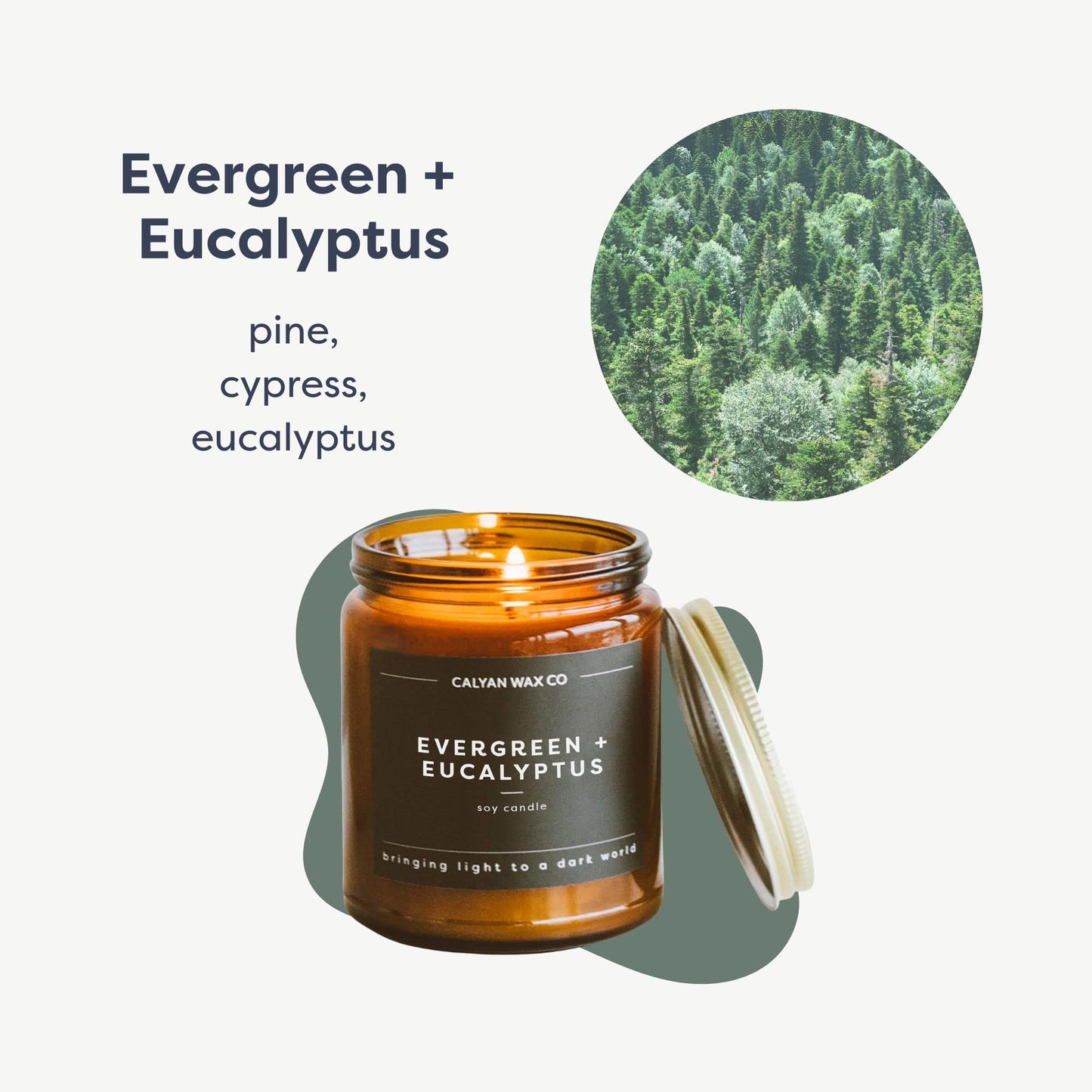 Calyan Wax Co. Evergreen & Eucalyptus Scented Candle - 57 Hour Burn - Luxury Clean Soy Wax Candles - Long Lasting Amber Glass Jar Candle for Home - 7.2oz