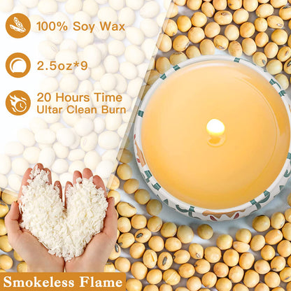 Scented Candles, 9 Packs 2.5oz Candle Set, Soy Candles for Home Scented, Aromatherapy Candle Gift Set for Stress Relief, Bathing, Ideal Gifts for Women Birthday, Valentines Day, Mothers Day