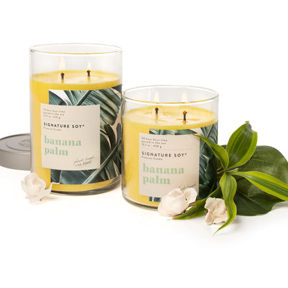 Signature Soy Lidded Banana Palm Scented Candle Large Jar
