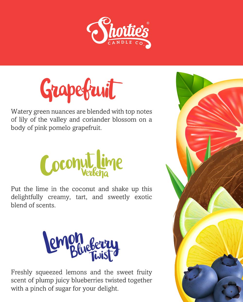 Fruit & Berry Premium Tealight Candles Variety 3 Pack (18 Highly Scented Tea Lights) - Coconut Lime Verbena, Grapefruit, Lemon Blueberry - Made with Natural Fragrance Oils - Fruit & Berry Collection