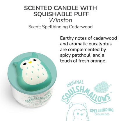 Studio Oh! x Squishmallows Scented Candle, Winston Spellbinding Cedarwood, Eucalyptus, Patchouli & Orange, 12 oz, 38 Hour Burn, Reusable Jar, Scented Candles for Home, Relaxing Calming Candle