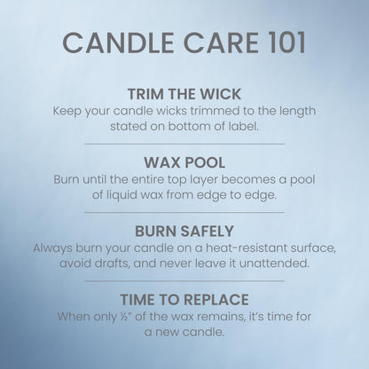 Yankee Candle Studio Medium Candle, Warm Luxe Cashmere, 10 oz, 4-Pack