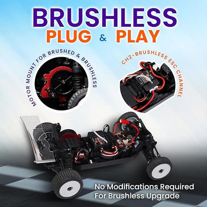 HOBBYPLUS Speck B 1/24 2WD Mini RC Car - RTR RC Buggy Fast Mini Racing Buggy Brushless Ready with Oil-Filled Shocks – Fun Indoor Remote Control Car Racing Vehicles for Adults (Vintage Creme)