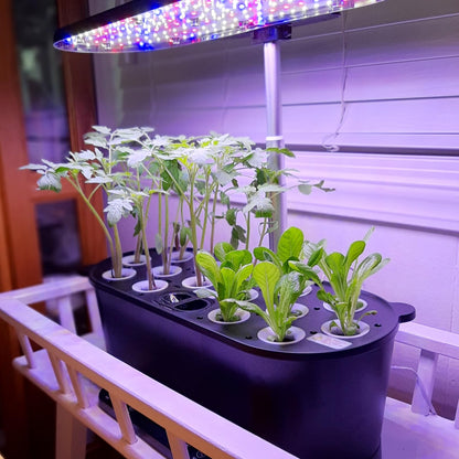 EAGLE PEAK Flex Ultra Compact 4x4 Pop-up Canopy with 15 Pods Hydroponics Growing System
