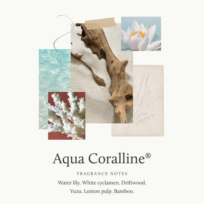 Thymes Aromatic Jar Candle - Aqua Coralline Scented Candle for a Fresh Home Fragrance - Matte White Candles (7.5 oz)
