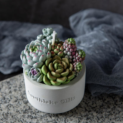 Assorted Succulent Pot Scented Vegetable Wax Candle for Spa Home Decoration Wedding Gift