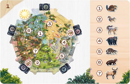 Redwood | A Strategy Board Game for 1-4 Players Take Pictures of Wild Animals to Compose The Most Beautiful Panorama| Ages 8+