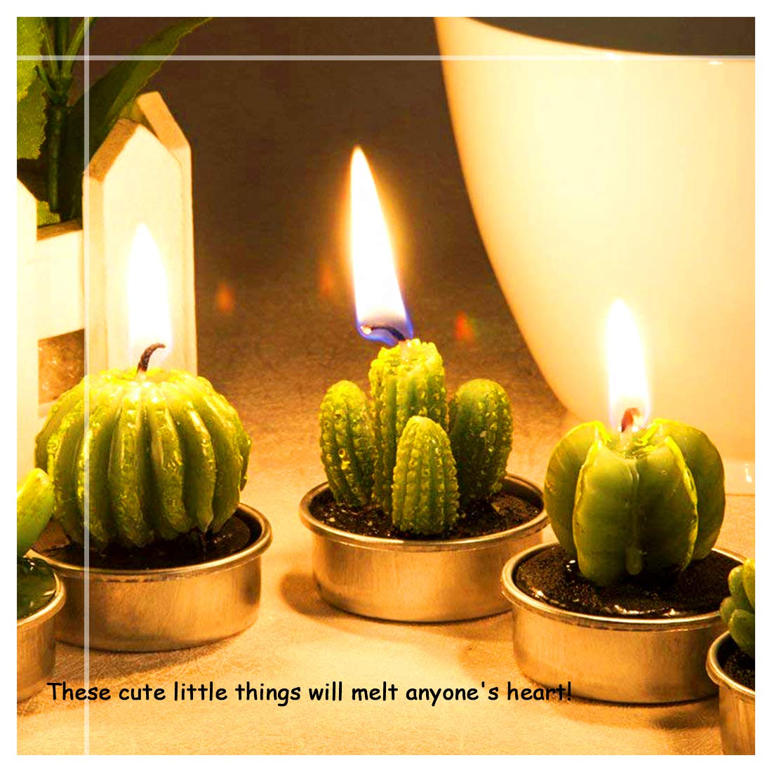 Swpeet 12Pcs Decorative Succulent Cactus Tealight Candles Kit, Cute Smokeless Succulent Plants Perfect for Candles Festival Wedding Props and House-Warming Party (N0.3-Candle)