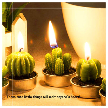 Swpeet 12Pcs Decorative Succulent Cactus Tealight Candles Kit, Cute Smokeless Succulent Plants Perfect for Candles Festival Wedding Props and House-Warming Party (N0.3-Candle)