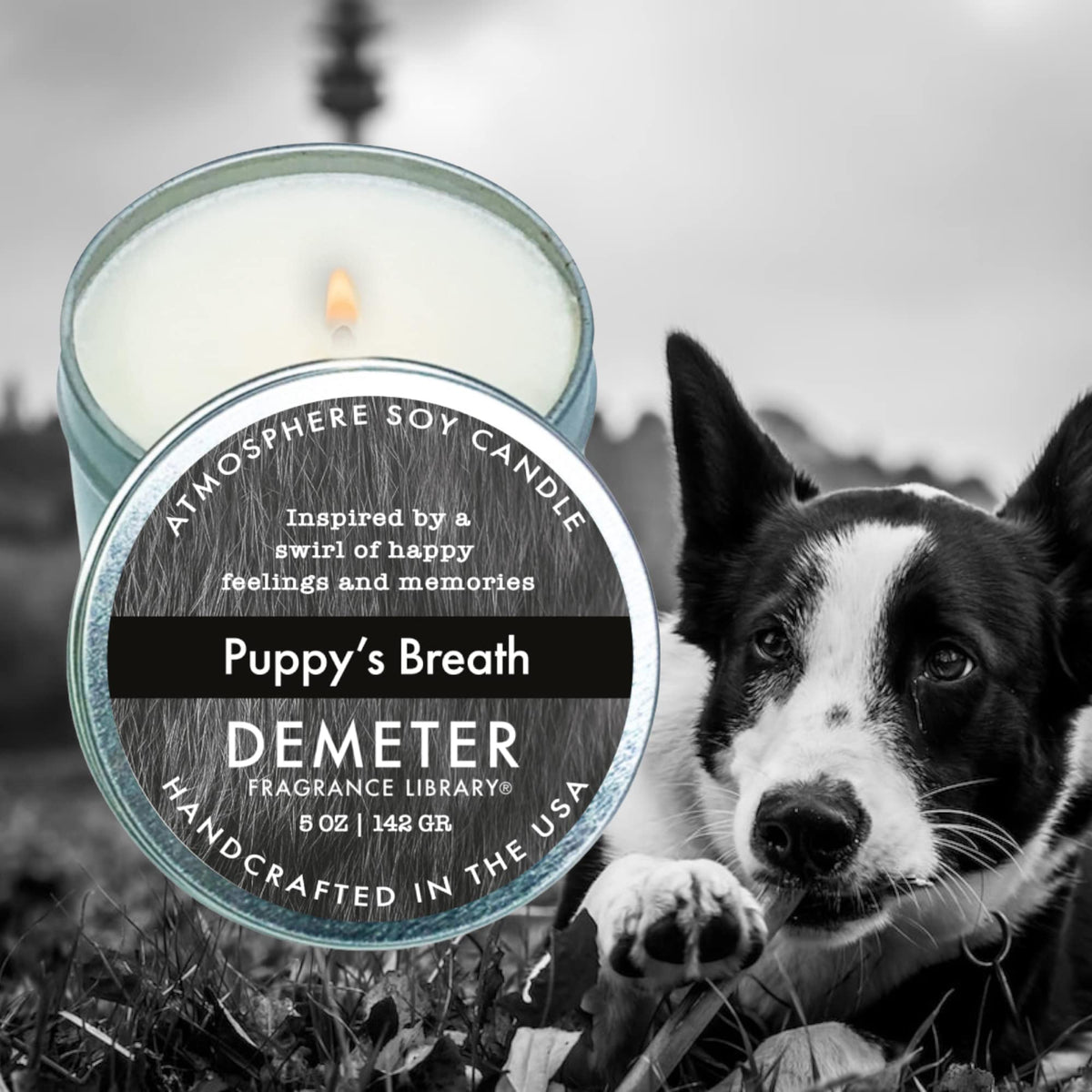 DEMETER Puppy's Breath Soy Candle, Scented Candles with Unique Fragrance, Perfect for Aromatherapy and Home Decor, Cute Candles for Travel and More