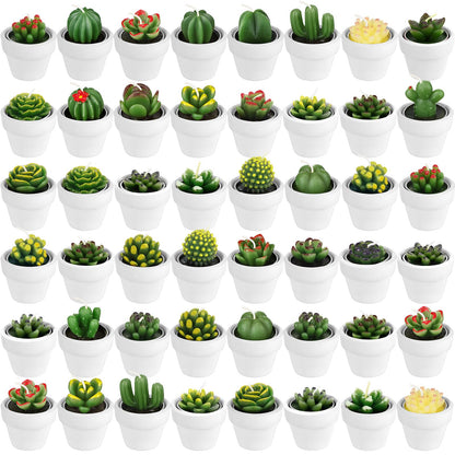 Shihanee 48 Pcs Bulk Succulent Candles Decorative Cactus Tealight Candles Handmade Mini Terracotta Clay Holders House Warming Wedding Baby Shower Spa Mexican Coworkers Teacher Birthday Gifts(White)