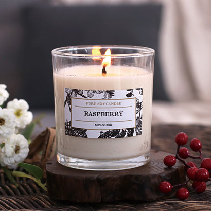 Aronica Raspberry Candle, Baby Shower Game Winner Gifts, Fruit Scented Soy Candles for Home, Fall Candles Bestfriend Gift, House Wax, Energizing Candle for Woman
