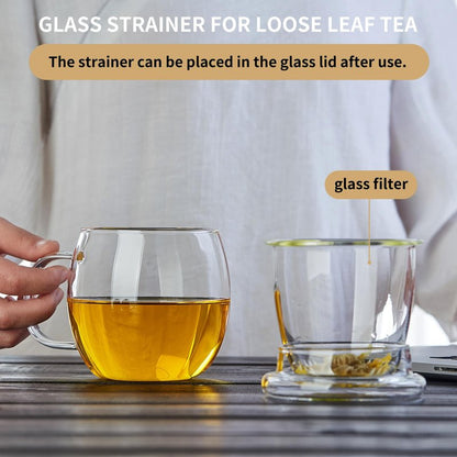 DOPUDO Glass Tea Cup with Infuser and Lid, 17oz/500ml Large Borosilicate Teacup for Loose Leaf Tea, Blooming Tea