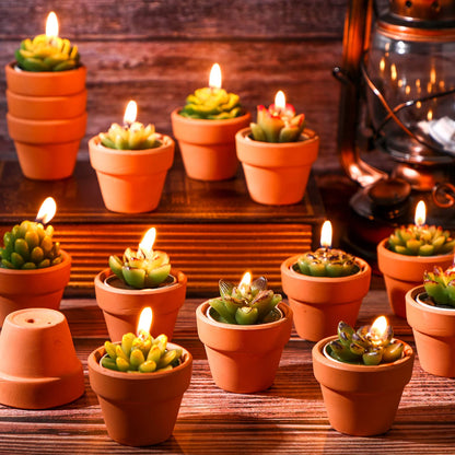 Treela 18 Pcs Succulent Cactus Tealight Candles Handmade Tea Lights Baby Shower Plant Candle Gift with Mini Terracotta Clay Candle Holders for Home Birthday Christmas Wedding Party(Cute)