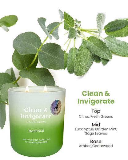 M&SENSE Sage Eucalyptus Scented Candle for Home, 14.1oz 80-Hour Non Toxic Long-Lasting Natural Soy Wax Fragrance, 2 Wick Summer Scented Aromatherapy Candle for Relaxing Stress Relief Meditation Yoga