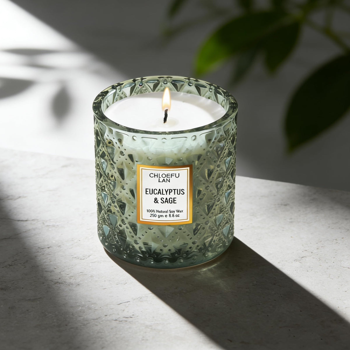 Chloefu LAN Eucalyptus & Sage Scented Candles Luxury Candle with up to 55 Hour Long Lasting, Highly Scented, 100% Soy Wax, 8.1oz, Beautiful Candles, Ideal for Home Decor and Gifts